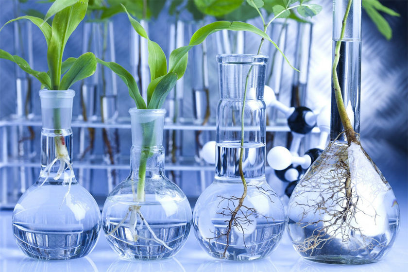Биотехнология и технология продуктов биоорганического синтеза