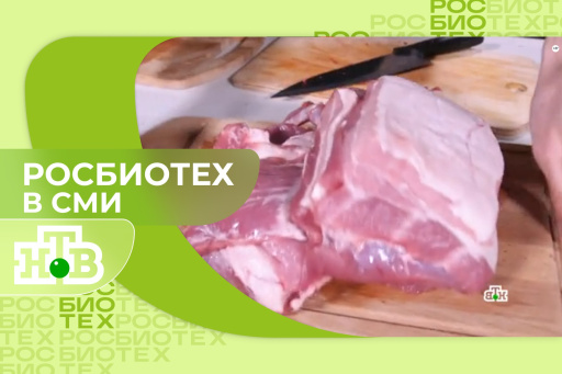 Эксперт РОСБИОТЕХа в эфире НТВ рассказал о безопасности мясных продуктов 