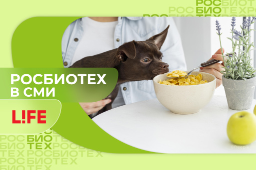 Ветеринар рассказал, какая еда со стола вредит питомцам