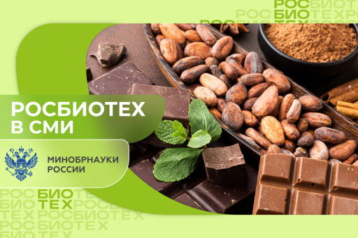 Преподаватель РОСБИОТЕХа рассказала, откуда появляется шоколад
