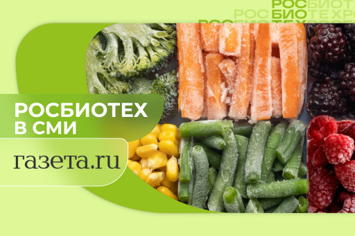 Специалист РОСБИОТЕХа объяснил, на что обращать внимание при покупке замороженных продуктов
