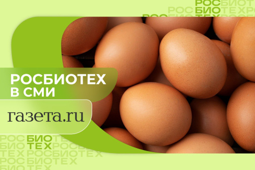 Доцент РОСБИОТЕХа объяснила, почему нельзя хранить яйца в дверце холодильника