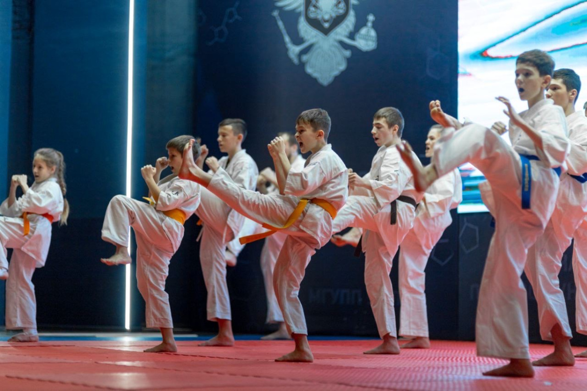 Молодые спортсмены стали участниками «Фестиваля по боевым искусствам среди молодежи»