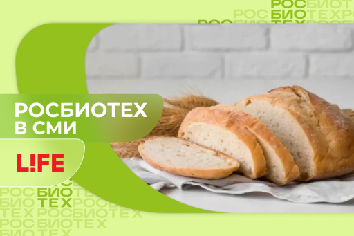 Эксперт РОСБИОТЕХа предупредил об опасности «зараженного» хлеба