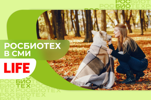 Доцент РОСБИОТЕХа рассказал, как уберечь своего питомца от простуды