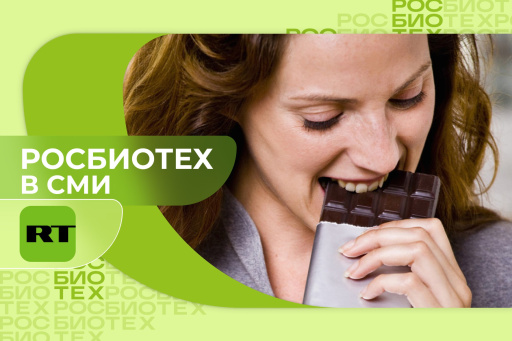 Эксперт РОСБИОТЕХа объяснила, что входит в состав настоящего шоколада