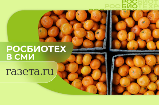 Россиянам напомнили, сколько можно съедать мандаринов в день