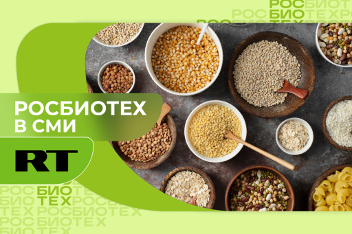 Россиянам назвали продукты, которые помогают сохранять бодрость и энергию