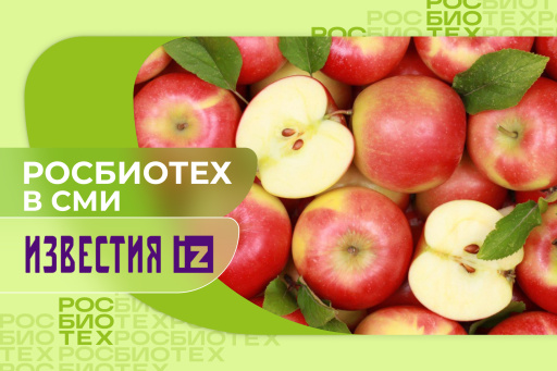 Эксперт РОСБИОТЕХа рассказал о преимуществах заморозки овощей и фруктов