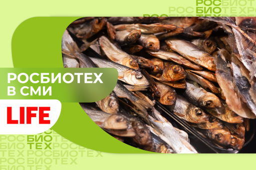 Россиянам рассказали, как правильно сушить рыбу