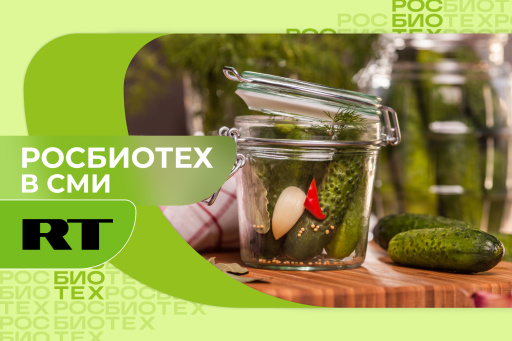 Россиянам назвали ошибки при солении овощей, что способствуют образованию бактерий