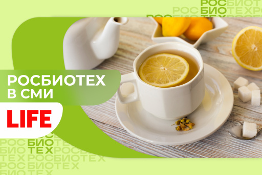 Профессор РОСБИОТЕХа рассказала, как правильно заваривать чай с лимоном 