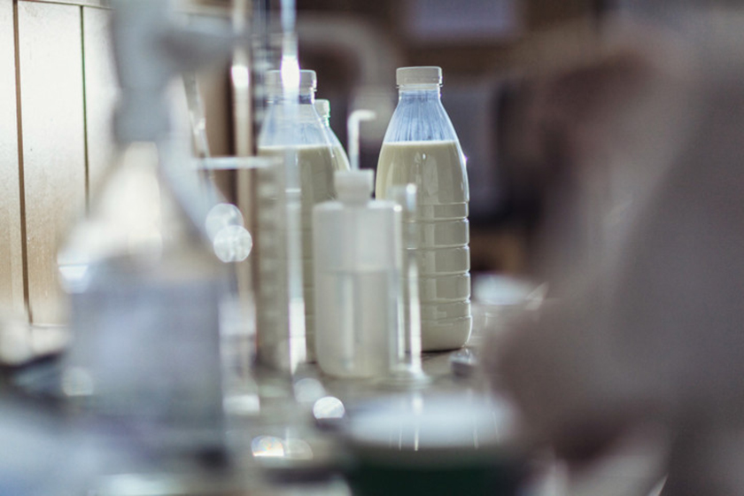 Результаты исследования пастеризованного молока