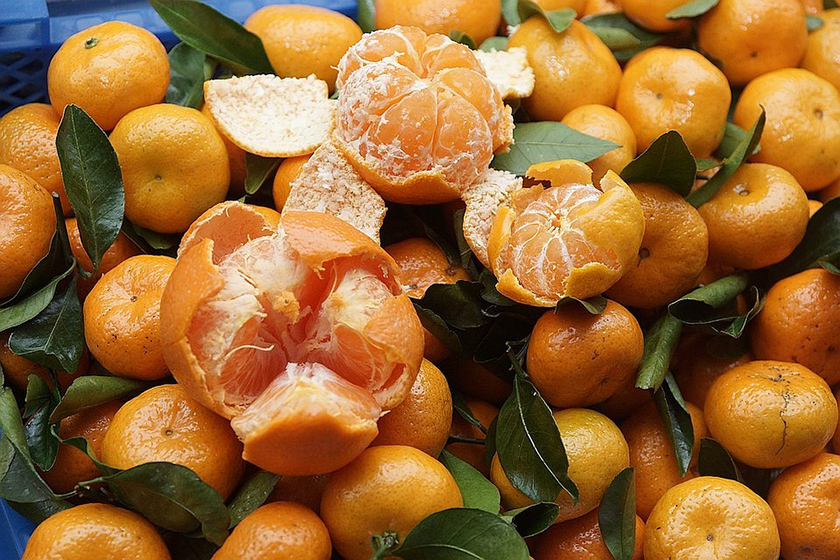 Запрещен ввоз мандаринов в Россию из Турции