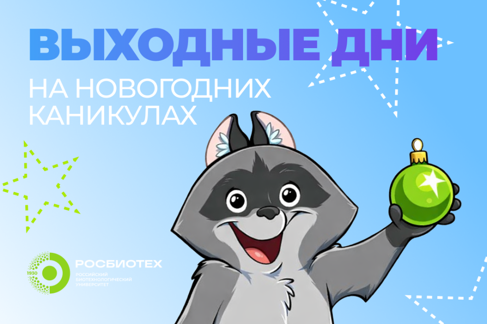 Как отдыхаем на новогодних каникулах 2025-2026